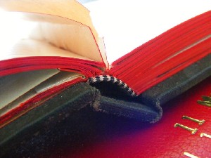 biblioteca 217 copy.jpg